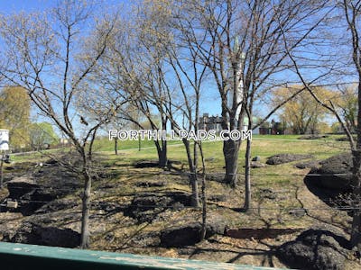 Fort Hill Apartment for rent 3 Bedrooms 1 Bath Boston - $4,200 No Fee