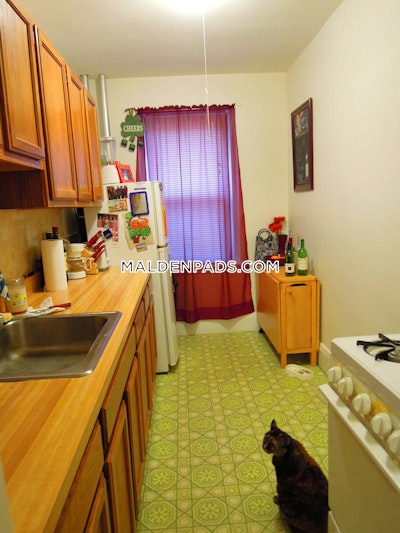 Malden Apartment for rent Studio 1 Bath - $1,875 No Fee