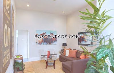 Cambridge 8 Bed, 3.5 Bath Unit  Harvard Square - $12,000