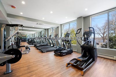 Cambridge 2 Bed 1 Bath CAMBRIDGE  Mt. Auburn/brattle/ Fresh Pond - $3,801