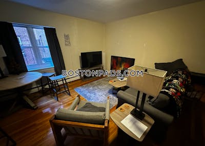 Brighton 2 Beds 1 Bath Boston - $3,100 No Fee