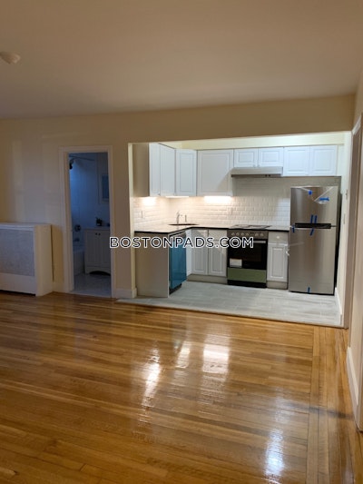 Brighton 2 Beds Brighton Boston - $3,050 No Fee