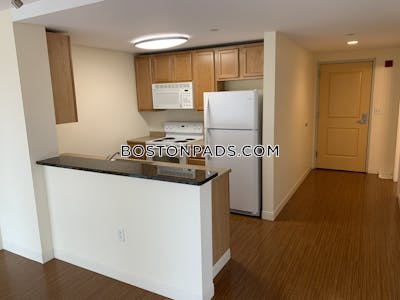 Dorchester 2 Bed 2 Bath BOSTON Boston - $3,715 No Fee
