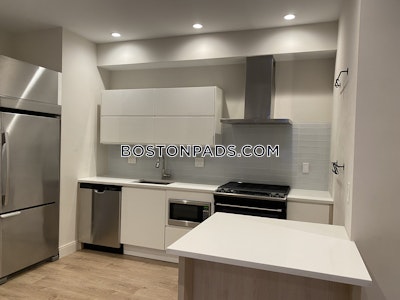 Dorchester/south Boston Border Modern 4 Bed 2 Bath on Buttonwood St. in South Boston  Boston - $3,800