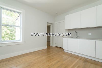 Brighton 2 Bed 1 Bath BOSTON Boston - $3,500