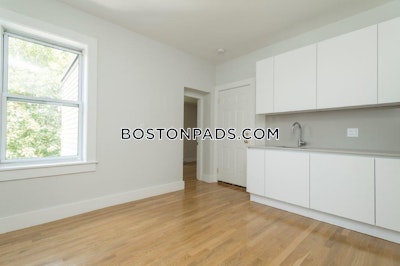 Brighton 2 Bed 1 Bath BOSTON Boston - $3,500