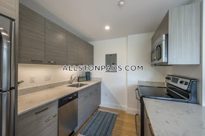 Allston Apartment for rent 2 Bedrooms 2 Baths Boston - $4,100 No Fee