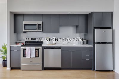 Allston Apartment for rent 1 Bedroom 1 Bath Boston - $4,058