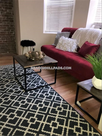 South End Apartment for rent Studio 1 Bath Boston - $2,450 No Fee
