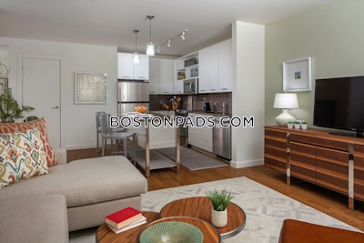 Downtown Apartment for rent 1 Bedroom 1 Bath Boston - $3,490 No Fee
