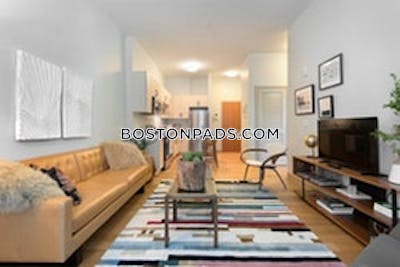 Jamaica Plain Apartment for rent 2 Bedrooms 2 Baths Boston - $4,260 No Fee