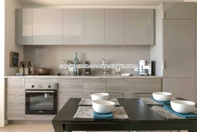 South End Apartment for rent Studio 1 Bath Boston - $3,475