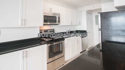 West End Apartment for rent 2 Bedrooms 2 Baths Boston - $5,655