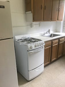 Brighton Apartment for rent 1 Bedroom 1 Bath Boston - $2,495 No Fee