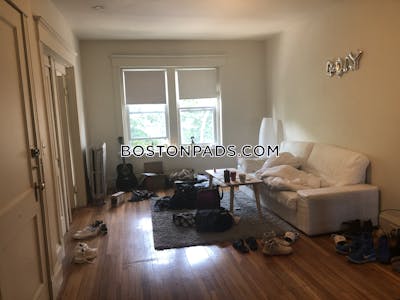 Brighton Apartment for rent 3 Bedrooms 1 Bath Boston - $3,675 No Fee