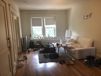Brighton Apartment for rent 3 Bedrooms 1 Bath Boston - $3,675 No Fee