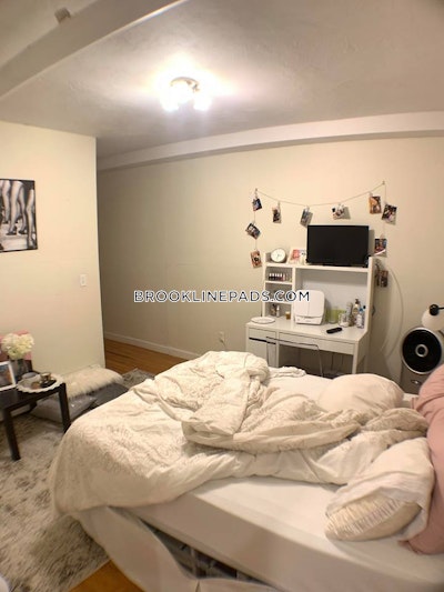 Brookline Apartment for rent 4 Bedrooms 2 Baths  Boston University - $6,800 No Fee