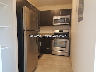 Brookline Apartment for rent 1 Bedroom 1 Bath Boston University - $3,100 No Fee