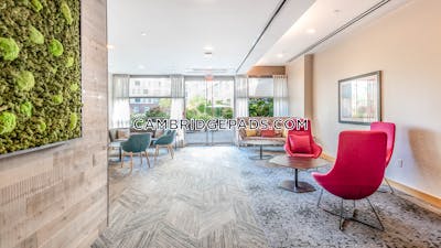 Cambridge Apartment for rent 1 Bedroom 1 Bath  Kendall Square - $4,125