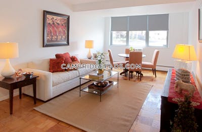 Cambridge Apartment for rent Studio 1 Bath  Porter Square - $2,462 No Fee