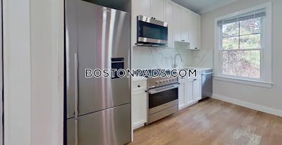 Brighton Apartment for rent 1 Bedroom 1 Bath Boston - $3,100 No Fee