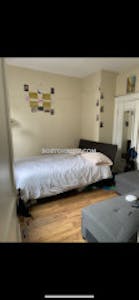 Northeastern/symphony Apartment for rent 1 Bedroom 1 Bath Boston - $3,800 No Fee