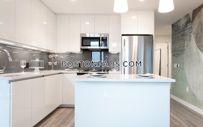 West End Apartment for rent 2 Bedrooms 2 Baths Boston - $10,709