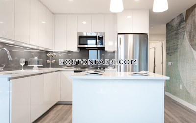 West End Apartment for rent 2 Bedrooms 2 Baths Boston - $10,709