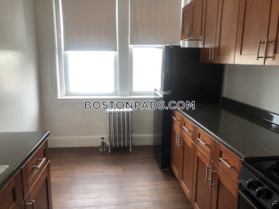 Brighton Apartment for rent 1 Bedroom 1 Bath Boston - $2,525 No Fee