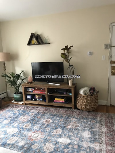 Brighton Apartment for rent 2 Bedrooms 1 Bath Boston - $2,880