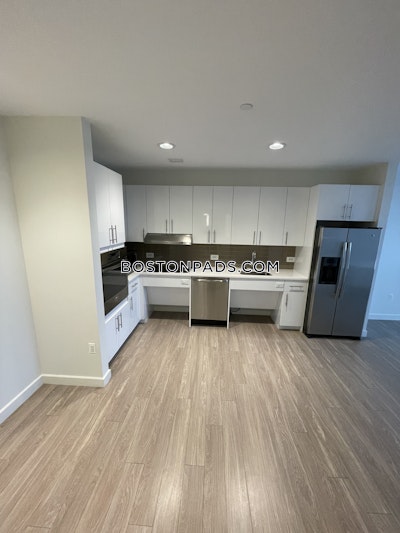 Allston Apartment for rent 1 Bedroom 1 Bath Boston - $4,095