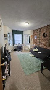 Fenway/kenmore Apartment for rent 1 Bedroom 1 Bath Boston - $3,450 No Fee