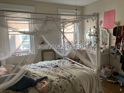 Allston Apartment for rent 1 Bedroom 1 Bath Boston - $3,150 No Fee
