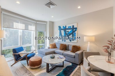 Mission Hill Apartment for rent 2 Bedrooms 2 Baths Boston - $5,200