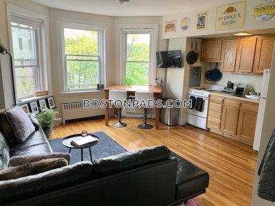 Brookline Apartment for rent 1 Bedroom 1 Bath  Washington Square - $2,495 No Fee