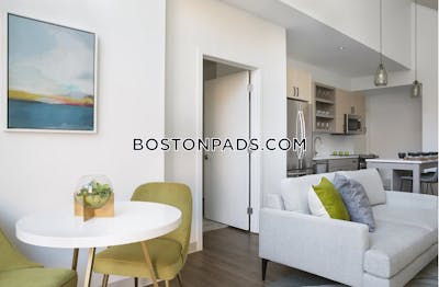 Mission Hill Apartment for rent 2 Bedrooms 2 Baths Boston - $4,508