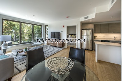 Allston Apartment for rent 2 Bedrooms 2 Baths Boston - $4,100 No Fee