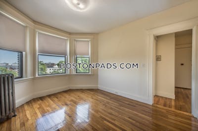 Allston Apartment for rent 1 Bedroom 1 Bath Boston - $2,500 No Fee
