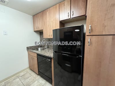 Back Bay Apartment for rent 1 Bedroom 1 Bath Boston - $3,795