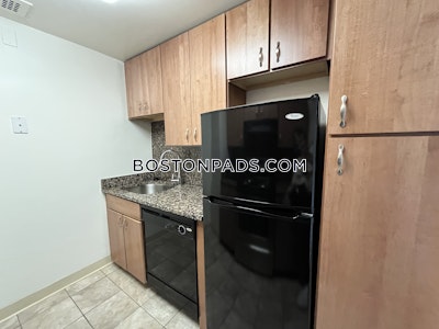 Back Bay Apartment for rent 1 Bedroom 1 Bath Boston - $3,795