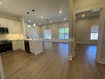 Brighton Apartment for rent 2 Bedrooms 2 Baths Boston - $4,050 No Fee