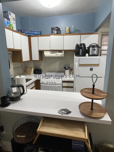 Allston Apartment for rent 1 Bedroom 1 Bath Boston - $2,500