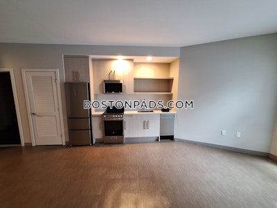 Jamaica Plain Studio  baths Luxury in BOSTON Boston - $3,950
