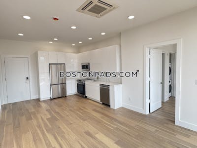 Brighton Apartment for rent 1 Bedroom 1 Bath Boston - $3,300 No Fee