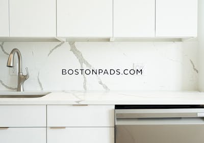 Brighton Apartment for rent 1 Bedroom 1 Bath Boston - $3,300 No Fee