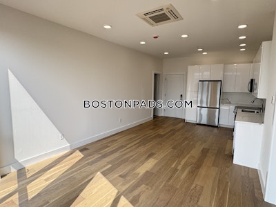 Brighton Apartment for rent 1 Bedroom 1 Bath Boston - $3,117 No Fee