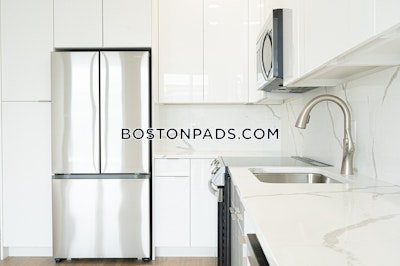 Brighton Apartment for rent Studio 1 Bath Boston - $3,025 No Fee