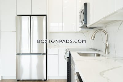 Brighton Apartment for rent 1 Bedroom 1 Bath Boston - $3,117 No Fee