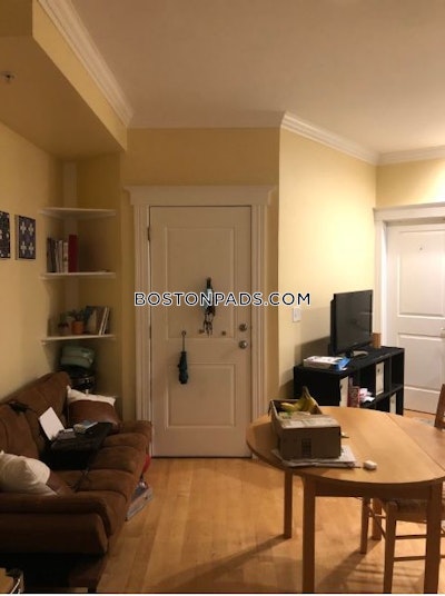 Cambridge Apartment for rent 3 Bedrooms 2 Baths  Central Square/cambridgeport - $3,975
