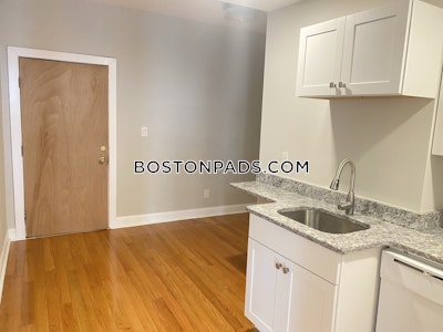 Northeastern/symphony Apartment for rent 1 Bedroom 1 Bath Boston - $2,700 No Fee